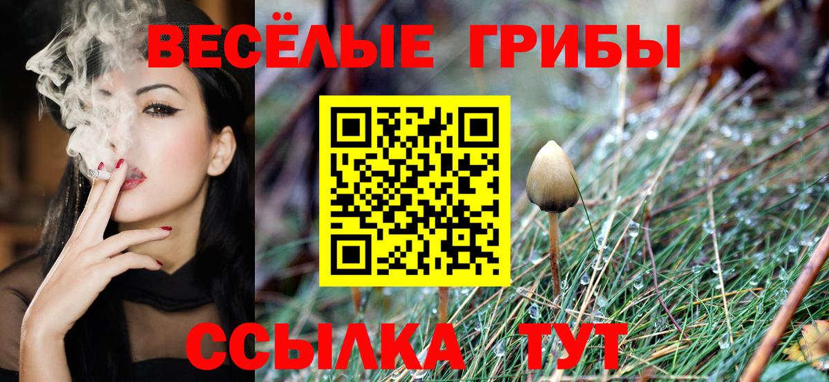 Псилоцибиновые грибы прущие грибы Курчатов